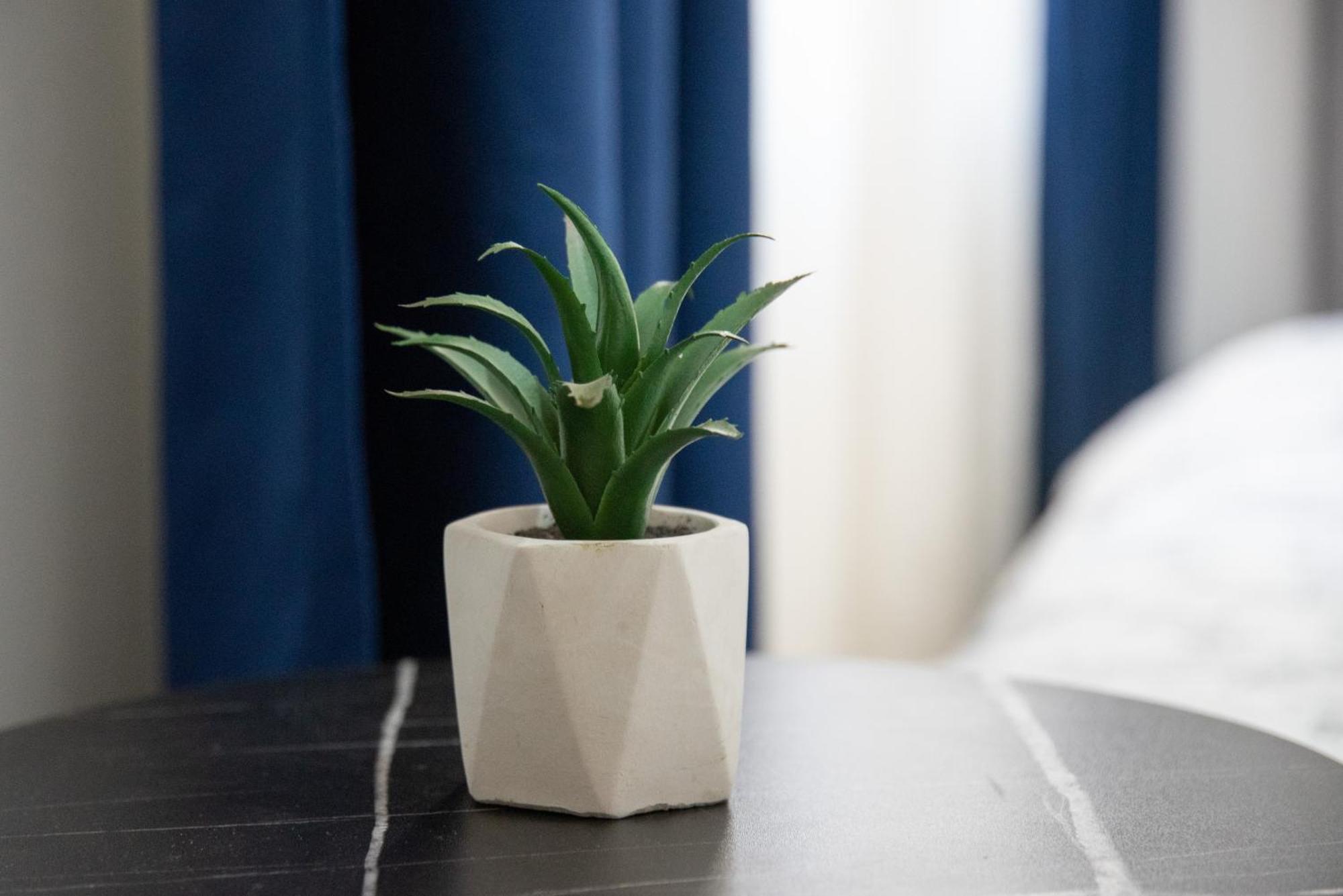 Nano Apartment プリズレン エクステリア 写真
